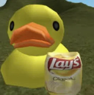 🦆