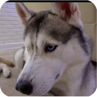 👍