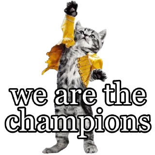 🏆