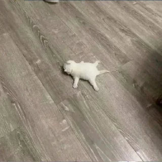 💀