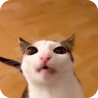 😋