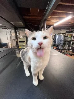 😛