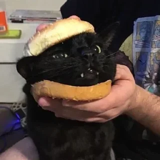 🍔