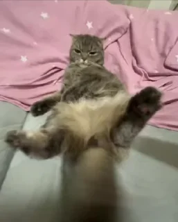 😎