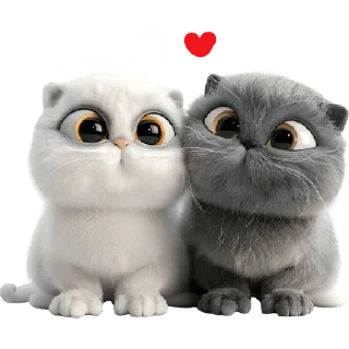 😍