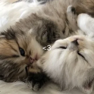 ❤️