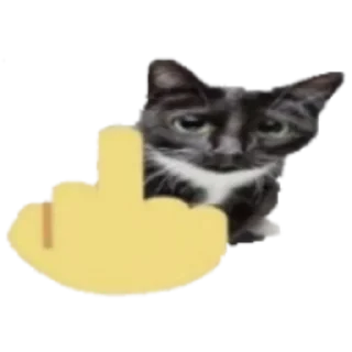 🖕