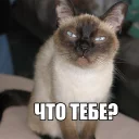 😠