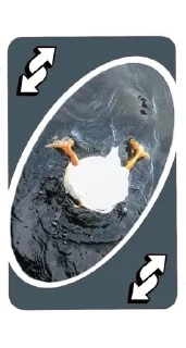 🦆