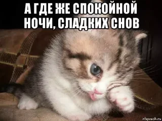 🌚