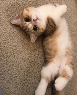 😍