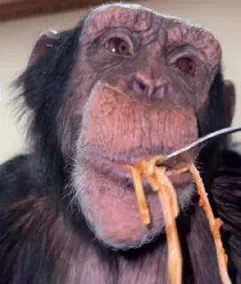 🍝