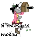 🔭