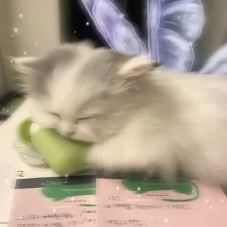 🐈