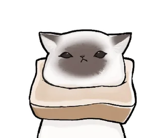 🐱