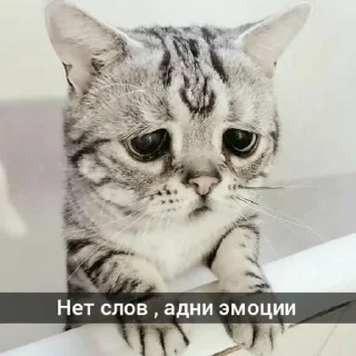 ☹️