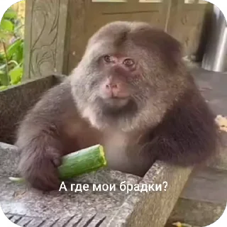 🤔