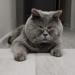 😳