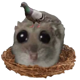 🕊