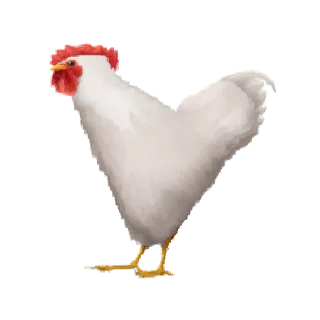 🐓