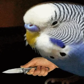 🔪