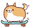 🐶