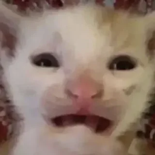 😰