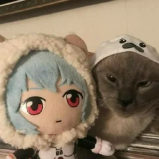 🐈