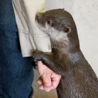 😪