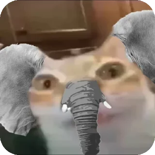 🐘