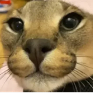 😵