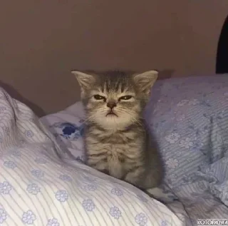 😡