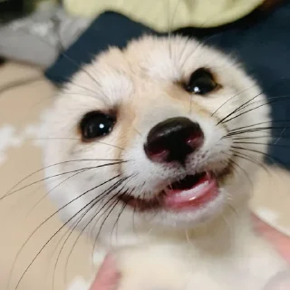 😃