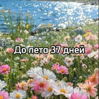 ☀️