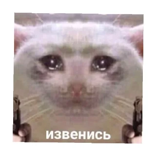 🥺