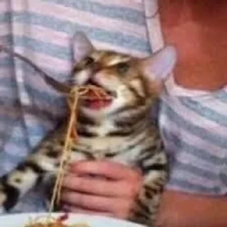 🍝