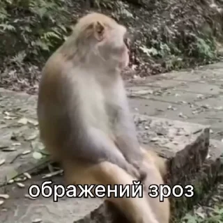 😒