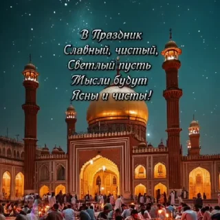 🌟