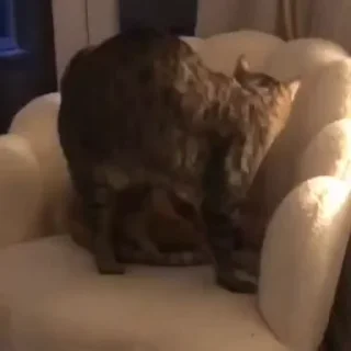 🥰