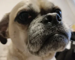 😡