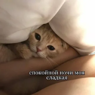 🥱