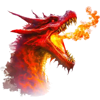 🐲