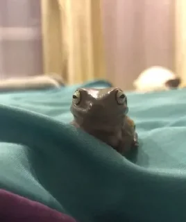 😏