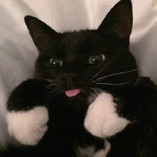 😛