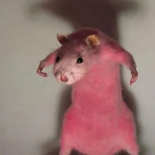 💪