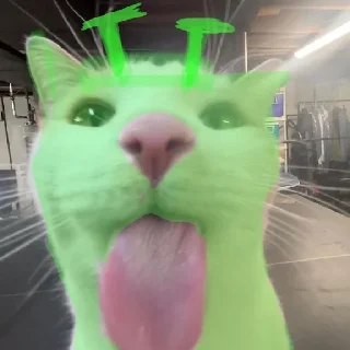 👽