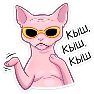 😎
