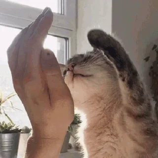 🖐