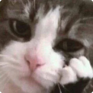 🥱