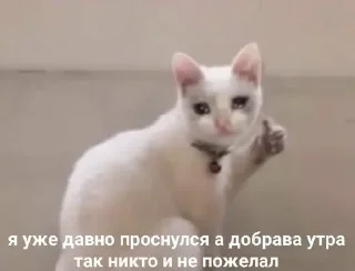 🌸